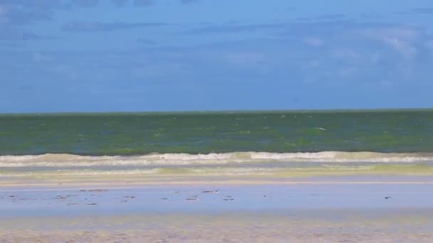 Panorama Naturel Vue Sur Magnifique Banc Sable Île Holbox Plage — Video