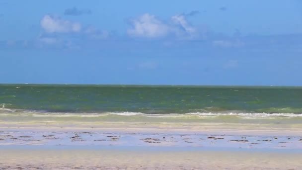 Natural Panorama Landscape View Beautiful Holbox Island Sandbank Beach Waves — Stock Video