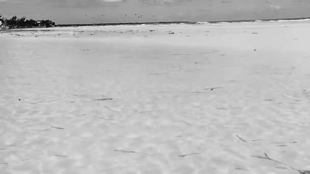 아름다운 모래톱 해변의 파노라마 멕시코 킨타나로오 청록색 과푸른 — 비디오