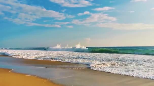 Niezwykle Duże Fale Surferów Plaży Zicatela Puerto Escondido Oaxaca Meksyk — Wideo stockowe
