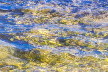 Turquoise green blue water with stones rocks corals at beach in Playa del Carmen Quintana Roo Mexico.