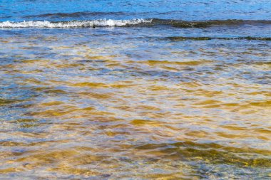 Turquoise green blue water with stones rocks corals at beach in Playa del Carmen Quintana Roo Mexico.