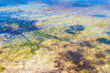 Turquoise green blue water with stones rocks corals at beach in Playa del Carmen Quintana Roo Mexico.