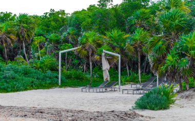 Playa del Carmen Meksika 'daki tropik Meksika plajındaki sahil otelindeki şemsiyeler ve güneş panzeleri..
