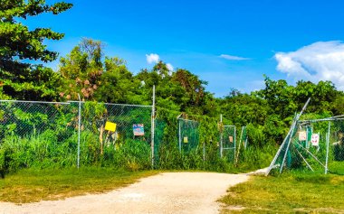 Playa del Carmen Meksika 'daki doğal kulübeler arasındaki 88 nolu tropikal Meksika plajının girişi ve yolu.