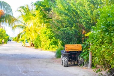 Quintana Roo Mexico 'daki güzel Holbox adasında kumlu yol yürüyüşü ve tropikal doğa manzarası.