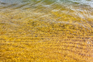 Nesse 'nin Nesse Loxstedt Cuxhaven Aşağı Saksonya Almanya' sında inşaat alanı ve plajı olarak kullandığı taş ocağı göleti..