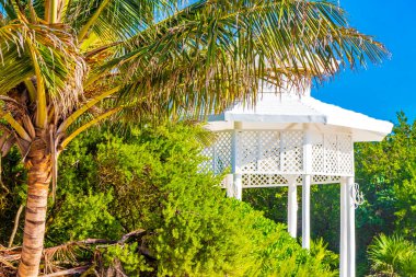 White noble pergula pavilion in paradise on the beach with palm trees in Playa del Carmen Quintana Roo Mexico.