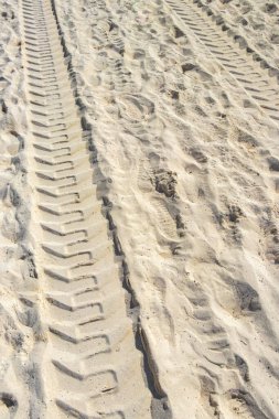 Ruts of an excavator in the beach sand in Playa del Carmen Quintana Roo Mexico.
