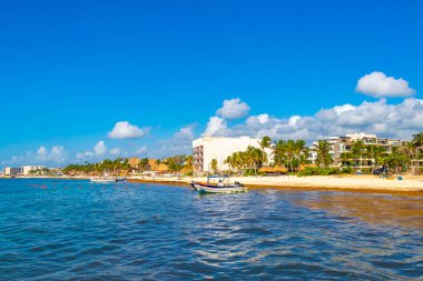 Playa del Carmen Mexico 'da berrak turkuaz mavi suyu olan tropik Meksika sahili manzarası..