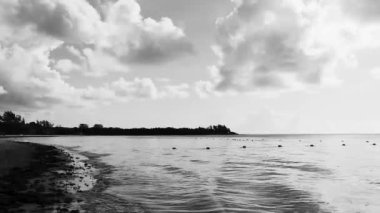 Sargazo yosunlu tropik Meksika plajı ve Playa del Carmen Meksika 'da berrak turkuaz mavi su.