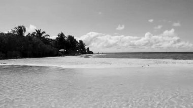 Playa del Carmen Mexico 'da berrak turkuaz mavi suyu olan tropik Meksika sahili manzarası..