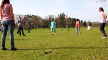 Lehe Bremerhaven Germany 02. April 2011 Teenagers play volleyball in park on grass in Speckenbtteler Park Lehe Bremerhaven Bremen Germany.