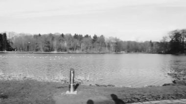 Natural beautiful panorama view with lake river fountain walking pathway and green plants trees in the forest of Speckenbtteler Park in Lehe Bremerhaven Germany.