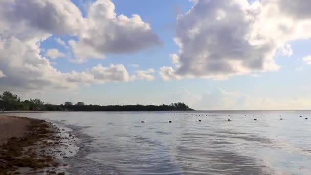 サラゾ海草ネットとプラヤデルカーメンメキシコの澄んだターコイズブルーの水と熱帯メキシコのビーチ — ストック動画
