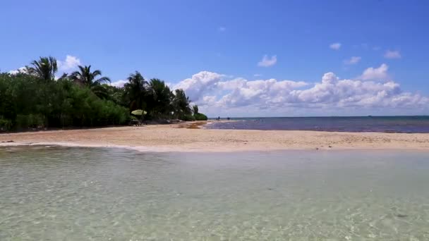 Tropical Μεξικάνικο Τοπίο Παραλία Πανόραμα Σαφή Γαλαζοπράσινα Νερά Στην Playa — Αρχείο Βίντεο