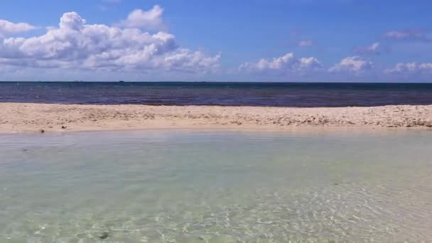 プラヤデルカルメンメキシコの澄んだターコイズブルーの水と熱帯メキシコのビーチの風景のパノラマ — ストック動画