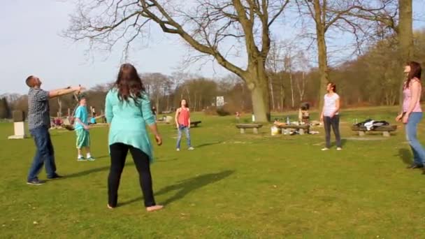 Lehe Bremerhaven Germany April 2011 Teenagers Play Volleyball Park Grass — Vídeo de stock