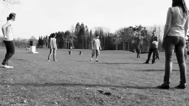 Бремергафен Німеччина Квітень 2011 Підлітки Грають Волейбол Парку Траві Speckenbtteler — стокове відео