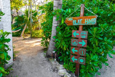 Tropical hotel and resort Blat Ha Blat-ha with palm trees and bamboo on Isla Holbox island in Quintana Roo Mexico.