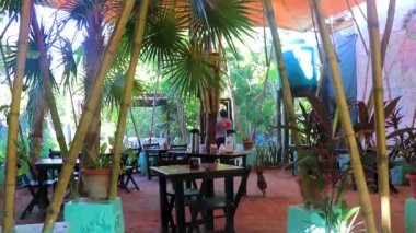 Tropical hotel and resort Blat Ha Blat-ha with palm trees and bamboo on Isla Holbox island in Quintana Roo Mexico.