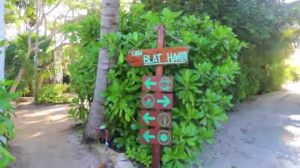 Tropical Hotel Resort Blat Blat Palm Trees Bamboo Isla Holbox — Stockvideo