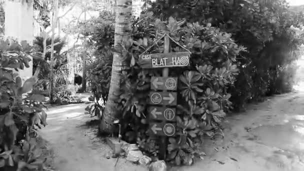 Отель Курорт Blat Blat Пальмами Букой Острове Исла Хольбокс Мексиканском — стоковое видео