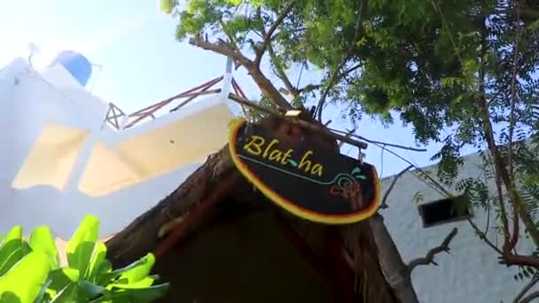 Tropical Hotel Resort Blat Blat Palm Trees Bamboo Isla Holbox — Vídeo de Stock
