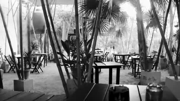 熱帯ホテル リゾートBlat Blat キンタナ メキシコのIsla Holbox島にヤシの木と竹があります — ストック動画