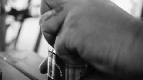 Мартенське Пиво Бельгійське Пиво Банку Острові Айла Холбокс Кінтана Роо — стокове відео