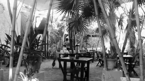 Tropical Hotel Resort Blat Blat Palm Trees Bamboo Isla Holbox — Vídeo de Stock