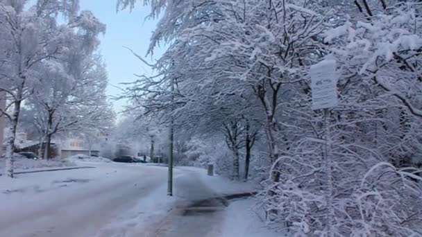 Roads Landscape Snow Winter Leherheide Bremerhaven Bremen Germany — Wideo stockowe