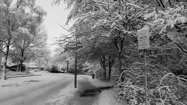 Roads Landscape Snow Winter Leherheide Bremerhaven Bremen Germany — Stockvideo