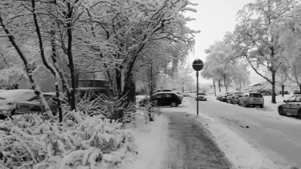 Бремень Німеччина Dcmbr 2010 Дороги Ландшафт Снігом Взимку Leherheide Bremerhaid — стокове відео