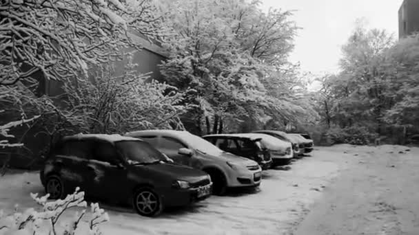 Bremerhaven Bremen Germany Dcmbr 2010 Roads Landscape Snow Winter Leherheide — Vídeos de Stock