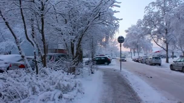 Bremerhaven Bremen Germany Dcmbr 2010 Roads Landscape Snow Winter Leherheide — Video Stock
