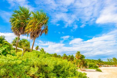 Playa del Carmen Mexico 'da berrak turkuaz mavi suyu olan tropik Meksika sahili manzarası..