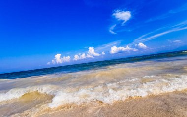 Playa del Carmen Mexico 'da berrak turkuaz mavi suyu olan tropik Meksika sahili manzarası..