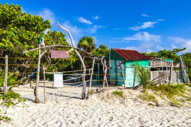 Playa del Carmen Mexico 'da palmiye ağacı ve kulübesi olan tropik doğal Meksika sahili Panorama Playa 88.