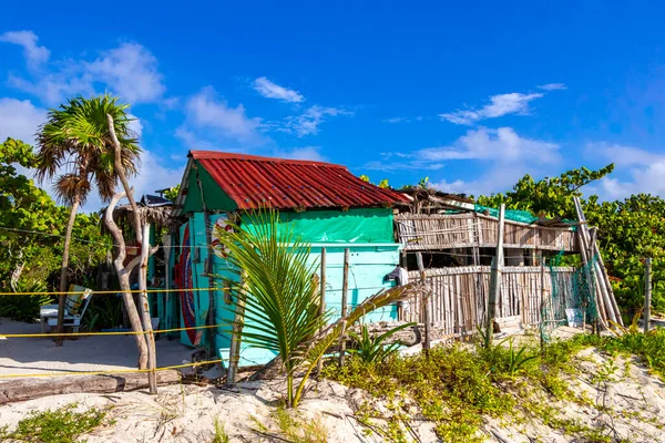 Playa del Carmen Mexico 'da palmiye ağacı ve kulübesi olan tropik doğal Meksika sahili Panorama Playa 88.