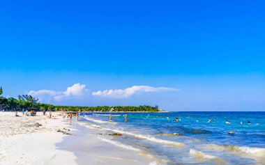 Tropical caribbean beach landscape panorama with clear turquoise blue water in Playa del Carmen Mexico.