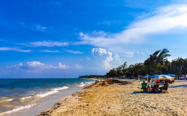 Tropical caribbean beach landscape panorama with clear turquoise blue water in Playa del Carmen Mexico.