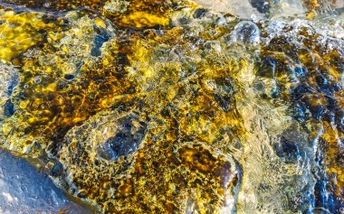 Playa del Carmen Quintana Roo Meksika sahilindeki turkuaz yeşil ve mavi sularda kayalar ve mercanlar..