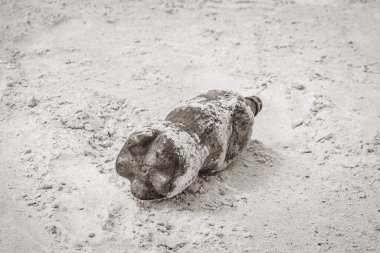 Plastik şişe, Rio de Janeiro Brezilya 'daki Botafogo Plajı' ndaki çöp atıklarını ve çöp kirliliğini temizledi..