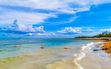 Tropical caribbean beach landscape panorama with clear turquoise blue water in Playa del Carmen Mexico.