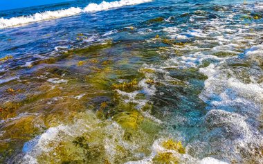 Playa del Carmen Quintana Roo Meksika sahilindeki turkuaz yeşil ve mavi sularda kayalar ve mercanlar..