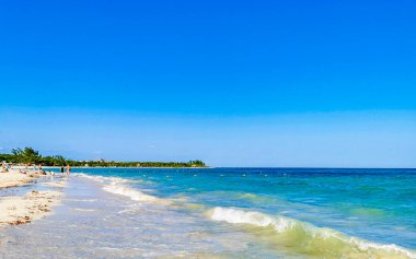 Tropical caribbean beach landscape panorama with clear turquoise blue water in Playa del Carmen Mexico.