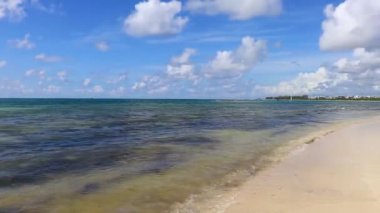 Tropical caribbean beach landscape panorama with clear turquoise blue water in Playa del Carmen Mexico.