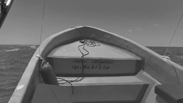 Holbox Quintana Roo Mexico May 2022 Boat Trip Speed Boat — Video Stock