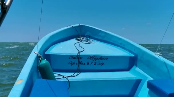 Holbox Quintana Roo Mexico May 2022 Boat Trip Speed Boat — Stockvideo